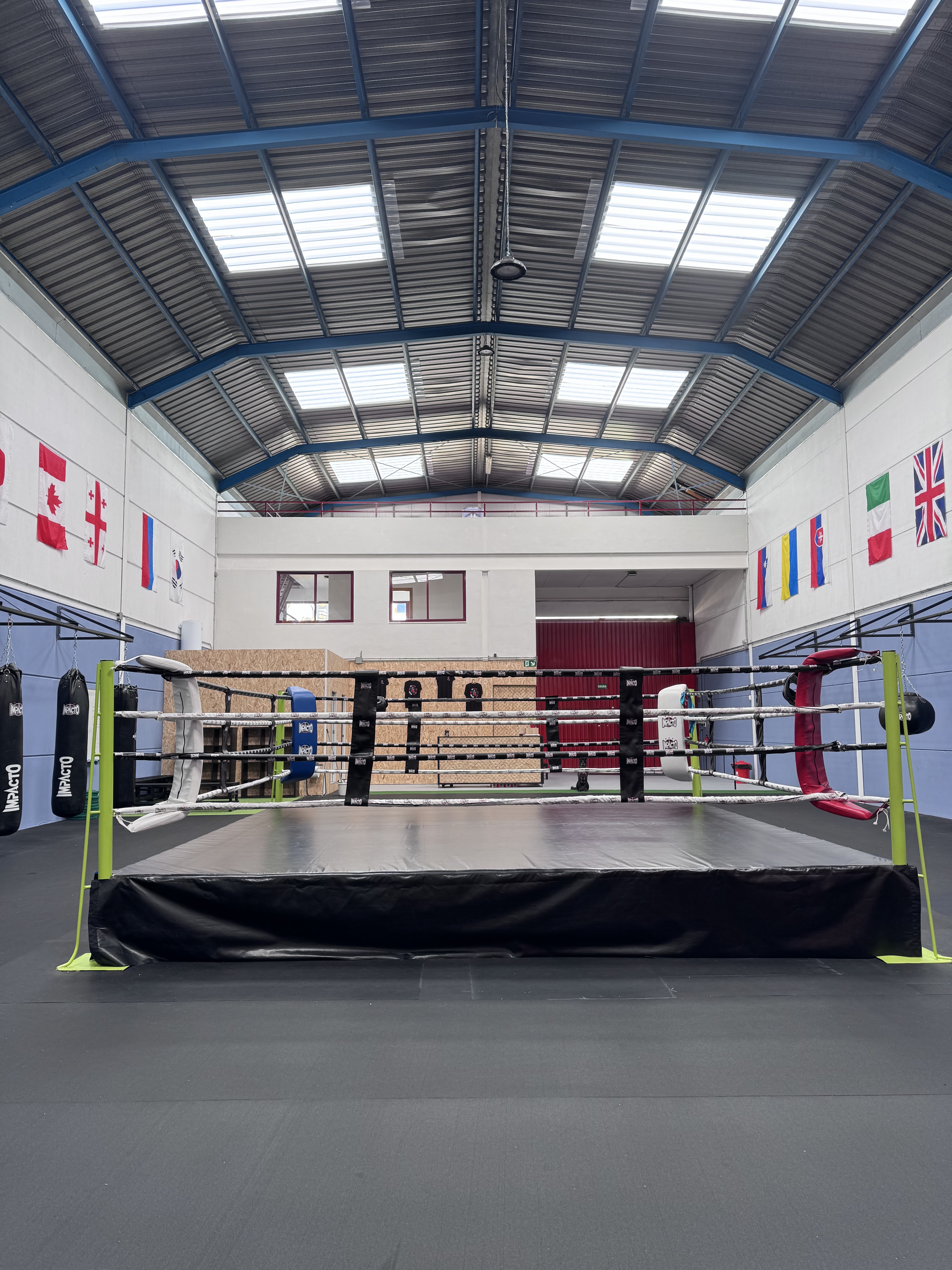 Entrenamiento de boxeo